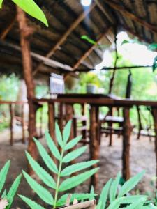 Middle of The Village Sigiriya