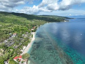 Seven Dreams A Pramana Experience