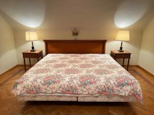 Baroque Alpine Retreat at the Historic Premetovc