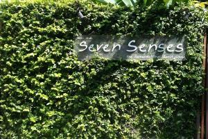 Seven Senses Guesthouse