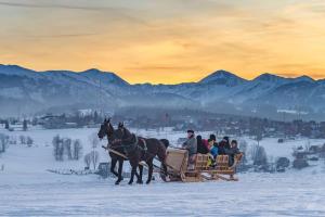 Domki Perła Białki z Jacuzzi