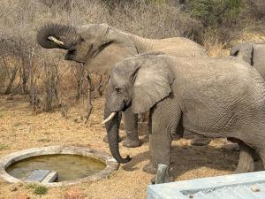 Blessed Lodge at Ingilozi Mabalingwe