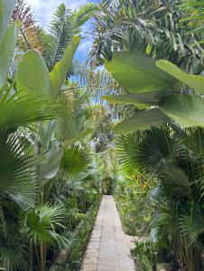 Private Pool Villa Retreat NAMU two-bedroom 5unit