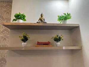 Fusion Studio Apartment Near Ek Murti Chowk