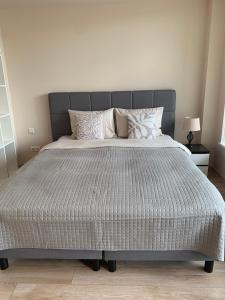 Sunny Lotus Apartamentai