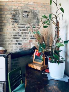 Homestay! Lockable room and kitchen within, shared bathroom