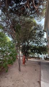 Liberty Seaview Apartment Cala Gonone img26