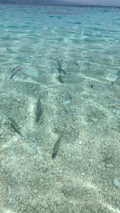 Liberty Seaview Apartment Cala Gonone img37