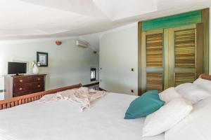 Villa Ray - Front row beachfront with garden img17