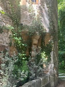 Le Moulin de Rochopt