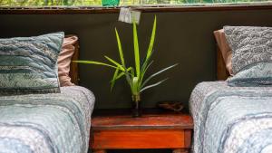 Pafuri Accommodation Rivercamp