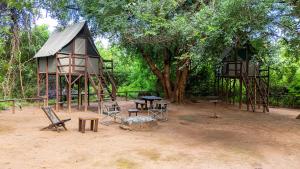 Pafuri Accommodation Rivercamp