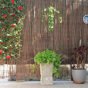 Charming Country House