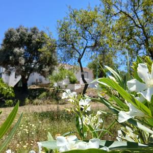 Charming Country House