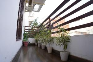 Blenzo Hideaway Kashi