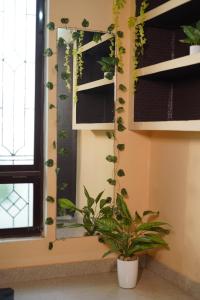 Blenzo Hideaway Kashi