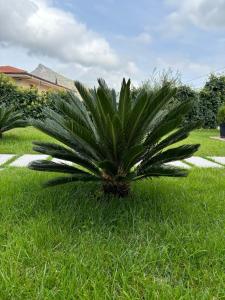 Exclusive Villa with Pool Near Monreale