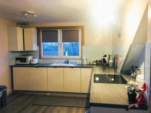 The Wee Pad - Uk42918