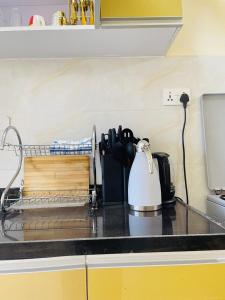 Superb View One Bedroom Apartment Kilimani