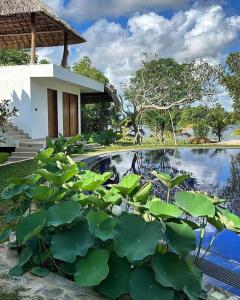 Shiva Sunrise Resort