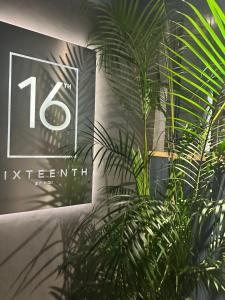 Delarose business leisure Studio