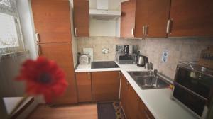 Barcolana Lodge Hostel