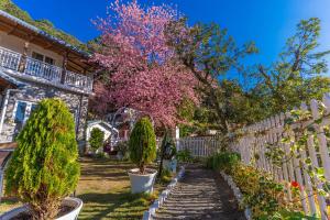 Casa De Bello, Nainital, Near Kainchi Dham