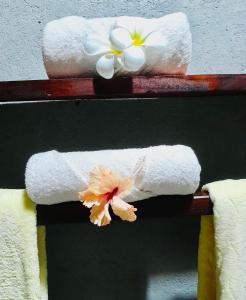 SerenityStay 37 on Zebra