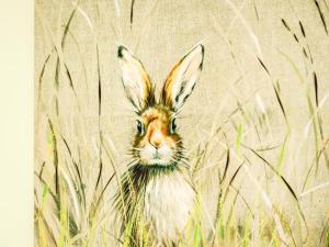 Apartment Frobost Lodge by Interhome