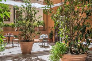 Double Room with Terrace