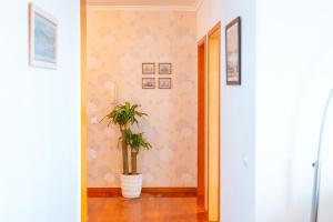 Caniço Horizon Apartment by Amazing Madeira