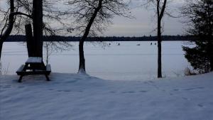 Rustic Cabin on the Shores of Pine Lake, Michigan