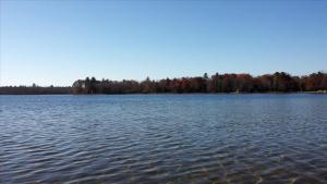 Rustic Cabin on the Shores of Pine Lake, Michigan