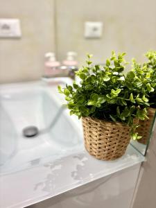 Duomo Charming Studio