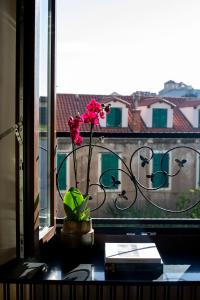 Pervicacia Lux Studios