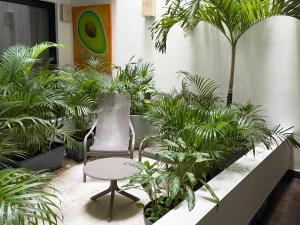 Studio de luxe Duna 206