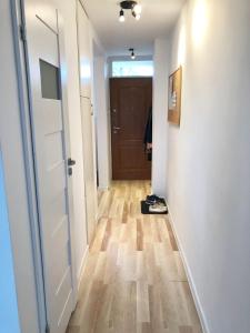 Holy Shell! Apartment