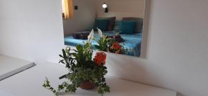 Casa Cao Appartamento "L'Ulivo" img12