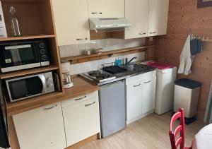 Agréable appartement au coeur du Mont-dore