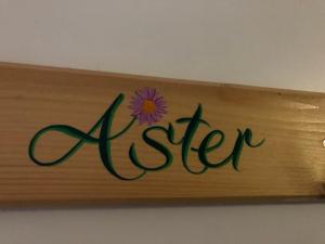 ASTER RESIDENCE LAUREANE 1er ETAGE