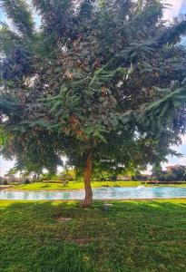 Fully Equipped B6 Apartment Perfect for Short Stay