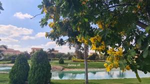 Fully Equipped B6 Apartment Perfect for Short Stay