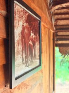 Elephant point tree house