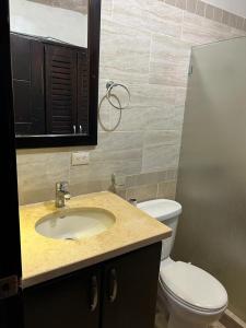 Nice villa near the beach