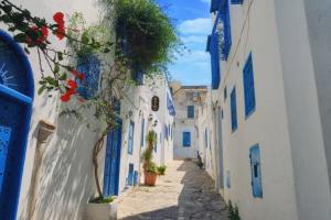 Sidi bou village amazing view