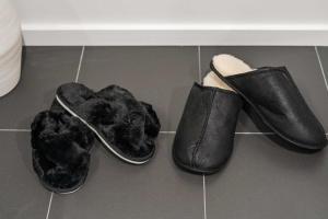 Boston Family Suite with Pool and Gym how lovely