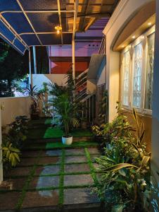 JOHNs Paradise - Homestay