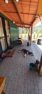 Casa Container em Monte Verde - 800m do Centro