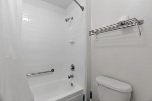 Modern renovated studio offering comfort and style