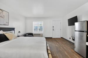 Bright modern studio featuring full kitchenette